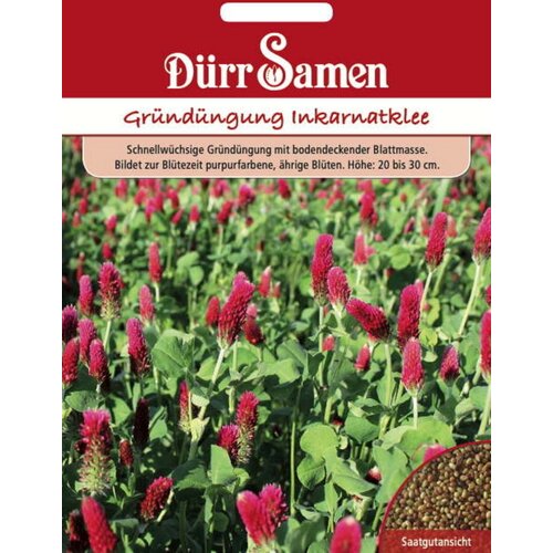 D&amp;uuml;rr Samen Zeleno gnojilo &amp;quot;Inkarnatka&amp;quot; - 75 g Slike