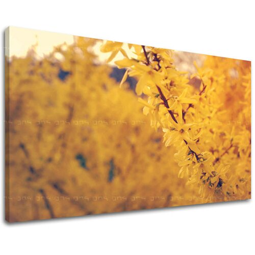  Slike na platnu cveće  (moderne slike na platnu) Cene