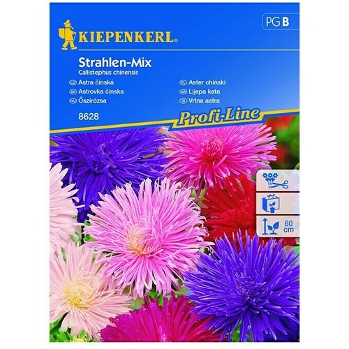 KIEPENKERL Profi-Line Sjeme cvijeća Lijepa kata Strahlen Mix (Callistephus chinensis, Raznobojno) Cijene