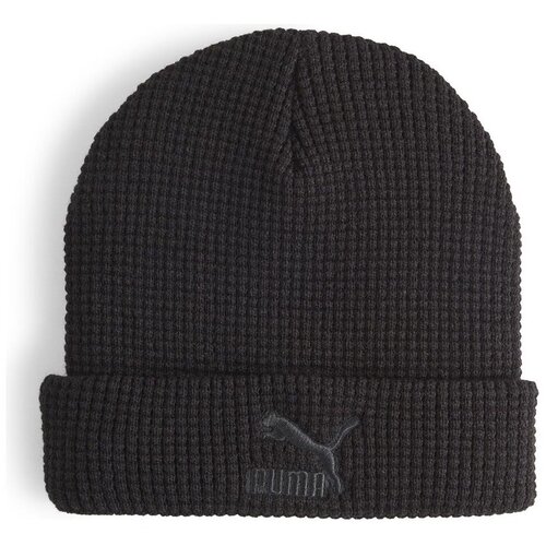 Puma 02567701 Crna Cijene