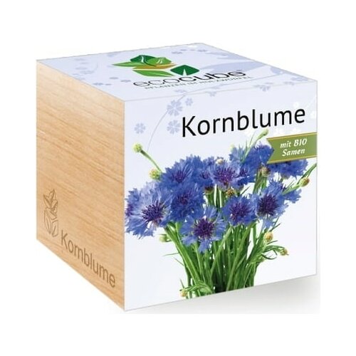Feel Green ecocube "Modri glavinec" Cene