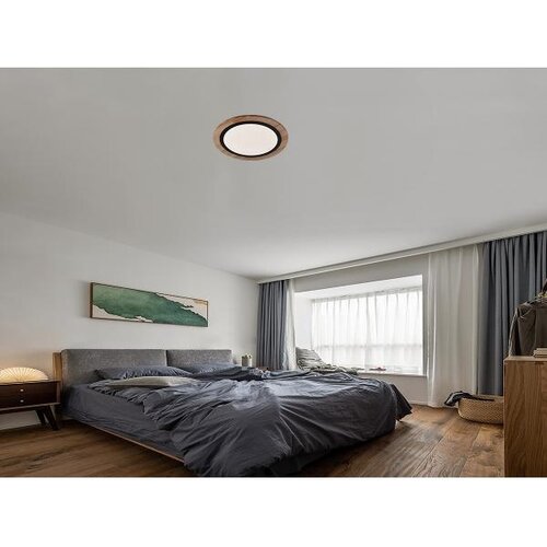  Prigu&amp;scaron;iva LED stropna svetiljka 25W/230V 3000-6500K + daljinski upravljač Slike
