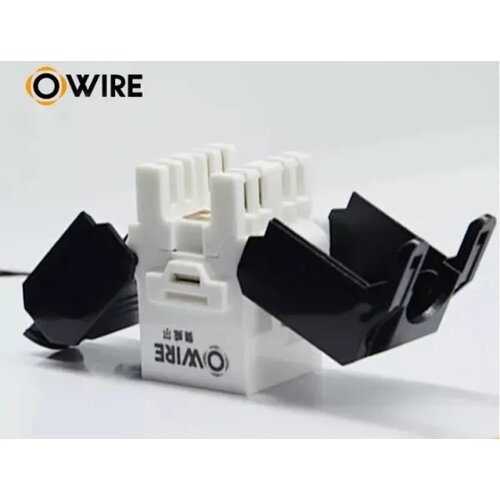 Owire Modul RJ45 Cat6 neoklopljeni/spaja se bez alata Cene