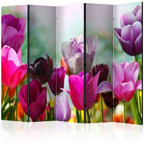  Paravan u 5 dijelova - Beautiful Tulips II [Room Dividers] 225x172 Cijene