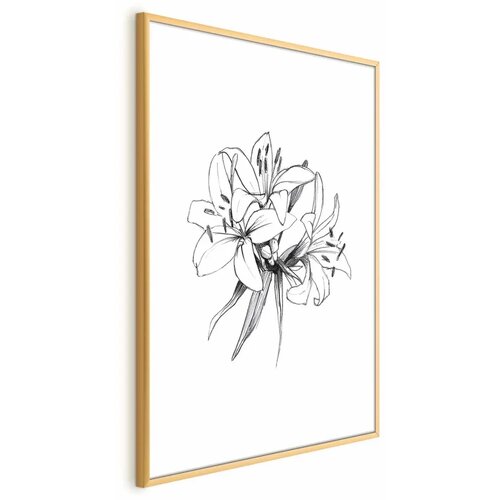  Plakat Drawn Flowers 60x90 Cijene