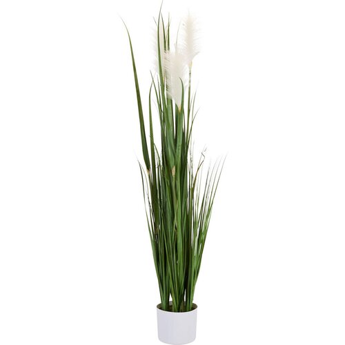 Ambia Home OKRASNA TRAVA Cene