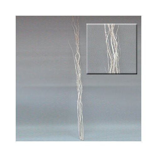 Suvo cveće grane Cene