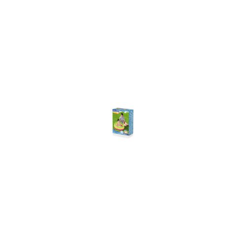 Bestway bazen mavrica 70 x 24 cm 51128- Slike
