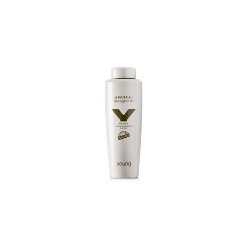 Šampon za obojenu kosu Young Organic Black & Green tea – 300 ml Cene