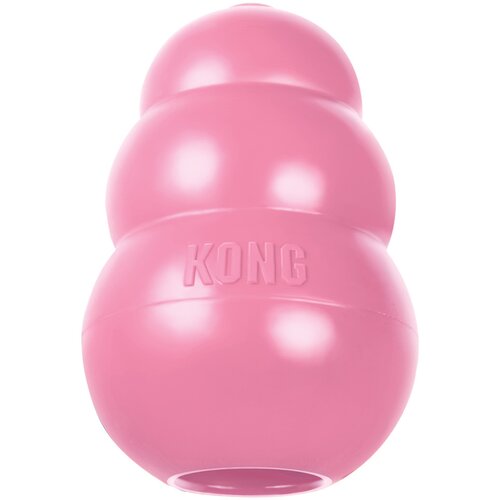 Kong Puppy - L (ružičasta) Slike