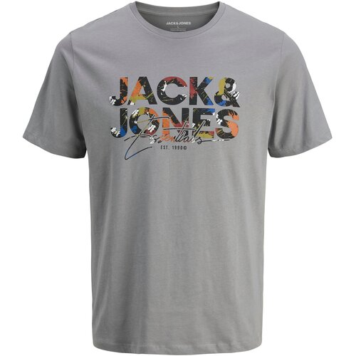 Jack &amp;amp; Jones Majica &amp;#039;JJGEPLAS&amp;#039; plava / siva / narančasta / crna Slike