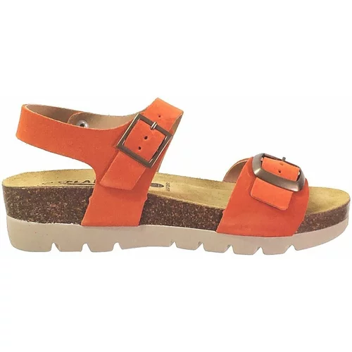Plakton Sandali & Odprti čevlji Cool Oranžna
