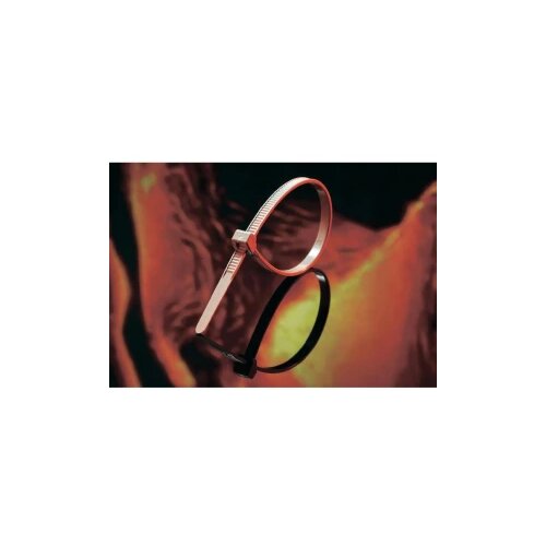 Hellermann Tyton peek PT2A-PEEK-GY-C1-Peek vezica, (l x b) 145x3.4mm, braon, 1 ko Cijene