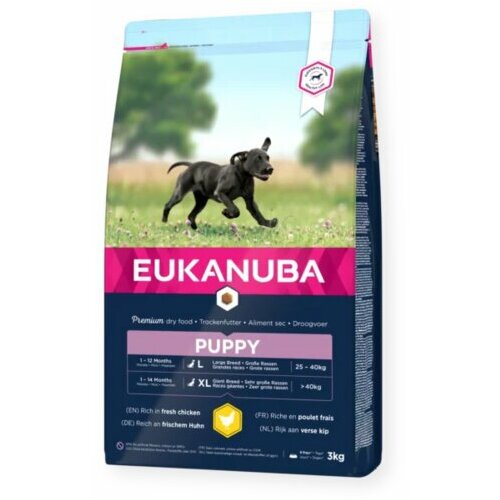 Eukanuba hrana za pse puppy large breed chicken 2kg Slike