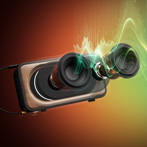 HouseofMarley ROOTS SOLAR TRUE WIRELESS SIGNATURE BLACK ZVOČNIK Cene