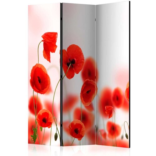  Paravan u 3 dijela - Sleepy poppy&amp;#039;s land [Room Dividers] 135x172 Slike