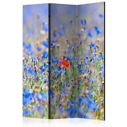 Artgeist Paravan Flower Garden, 3-Delni, Dvostranski Cene