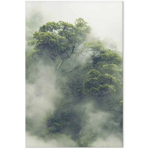  Slika - Foggy Amazon (1 Part) Vertical 60x90 Slike