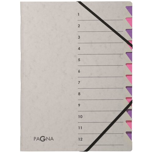 Pagna Organizator mapa Easy Grey, A4, 12 predelkov, sivo/vijolična, (21651444) Cene