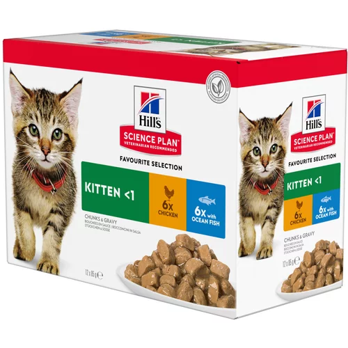Hill’s Ekonomično pakiranje: Feline vrećice 24 x 85 g - Kitten Izbor ribe