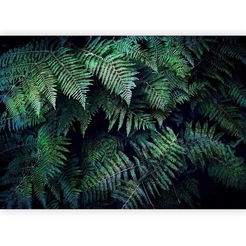 Artgeist Fototapeta In The Thicket, 100x70cm Cene