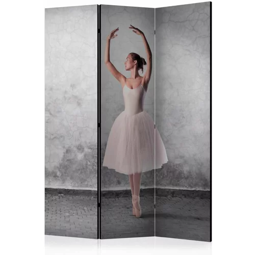  Paravan u 3 dijela - Ballerina in Degas paintings style [Room Dividers] 135x172