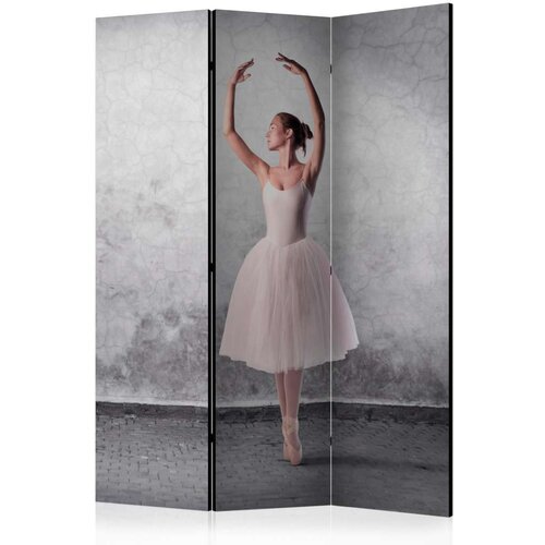  Paravan u 3 dijela - Ballerina in Degas paintings style [Room Dividers] 135x172 Slike