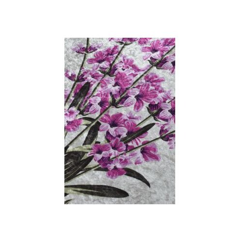Conceptum Hypnose Lavender DJT ( 60 x 90) tepih Slike