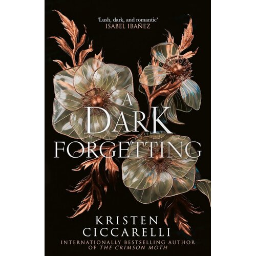 Harper Collins Publishers Ltd Kristen Ciccarelli - A Dark Forgetting Cene
