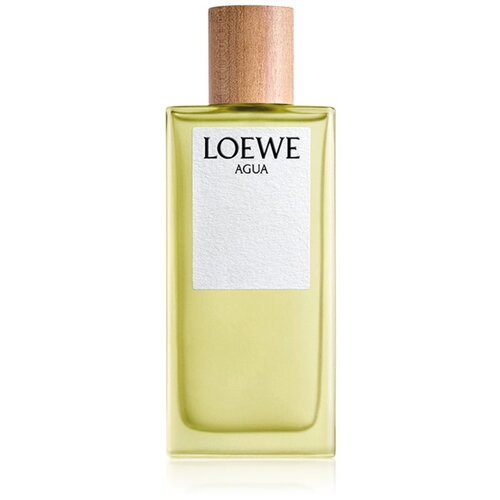 Loewe Agua toaletna voda uniseks 100 ml Slike