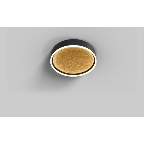 Wofi 9002-104M-LED Prigu&amp;scaron;iva plafonska lampa BORDEAUX LED/37W/230V crna/zlatna Slike