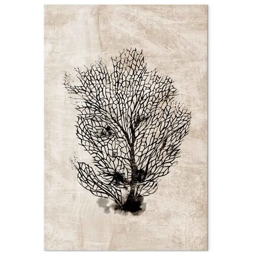 Slika - Sea Fan (1 Part) Vertical 80x120 Cijene