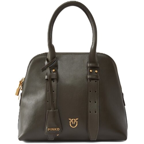Pinko Ročne torbice 105906A0QO Zelena Slike