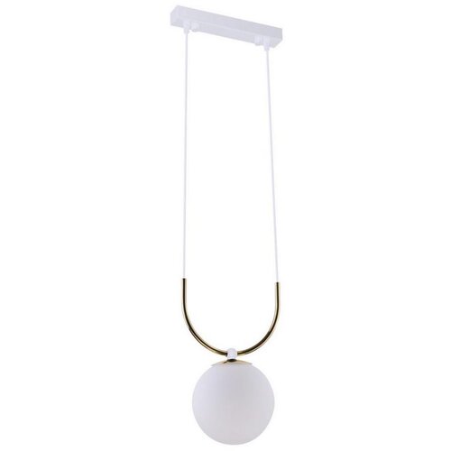  Amplex 8163 - Luster na sajli BALOS 1xE14/15W/230V crna Cene