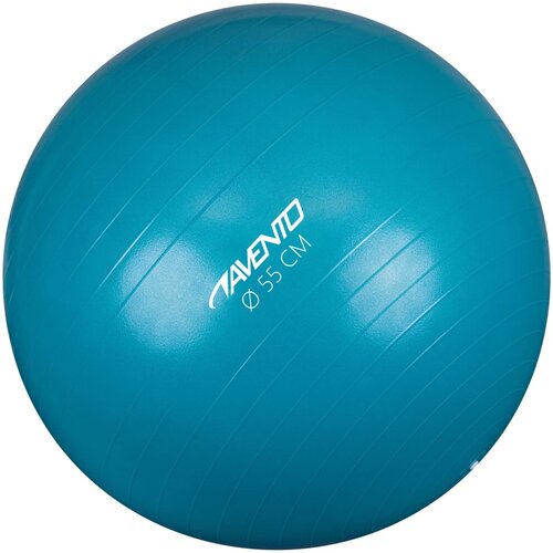 Avento Fitnes žoga / gimnastična žoga premer 55 cm modra, (20986750) Cene