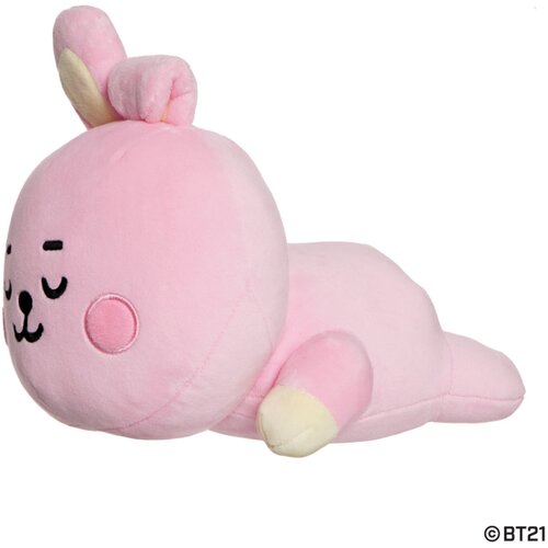 Grupo MINI COJIN BT21 COOKY, (21241532) Cene