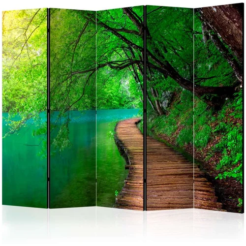  Paravan u 5 dijelova - Green peace II [Room Dividers] 225x172