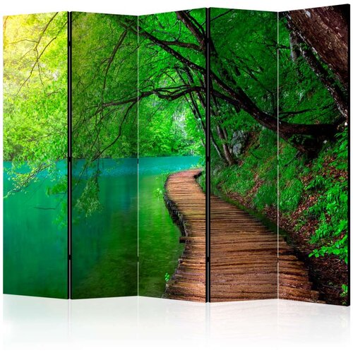  Paravan u 5 dijelova - Green peace II [Room Dividers] 225x172 Slike
