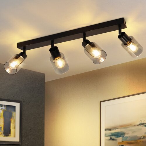 Nettlife Stropna svetilka, 4 plameni, črna, industrijska, E14, stropna svetilka za dnevno sobo, (22116903) Cene