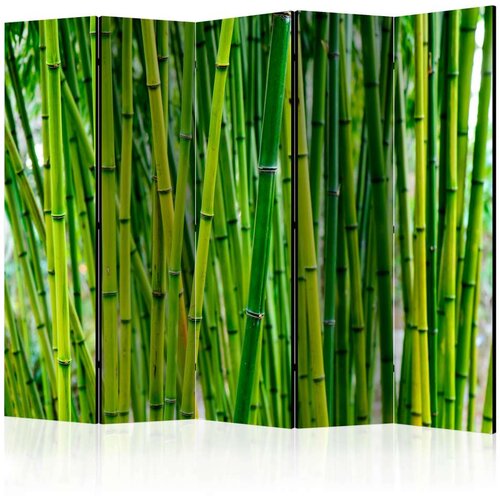  Paravan u 5 dijelova - Bamboo Forest II [Room Dividers] 225x172 Cijene