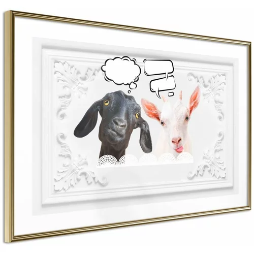  Poster - Conversation of Two Goats 30x20