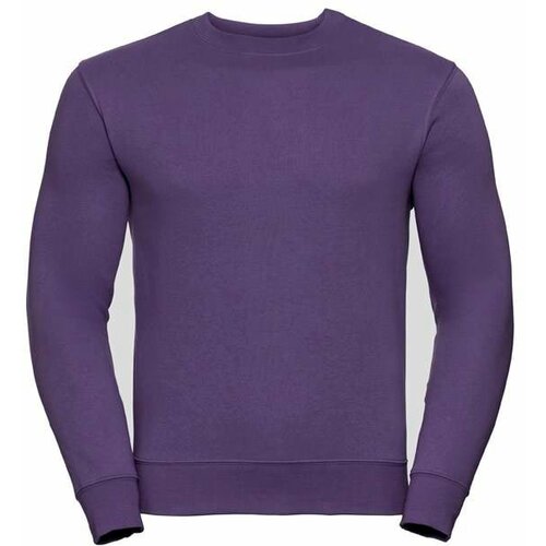 RUSSELL Authentic grey men's sweatshirt Cene