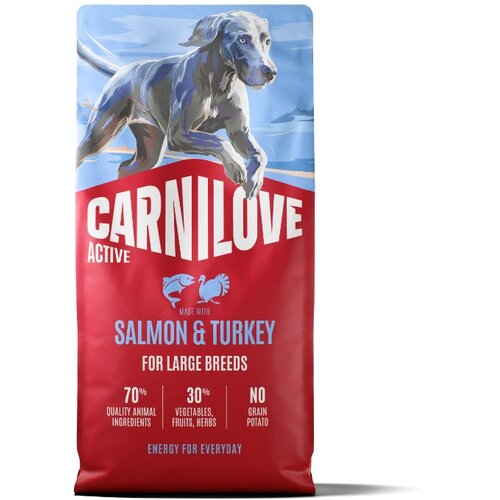 Carnilove Dog Active Adult Large, briketi - losos in puran 12 kg Cene