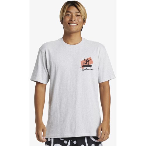 Roxy Men's T-shirt QuikSilver Quik Surfer Cene
