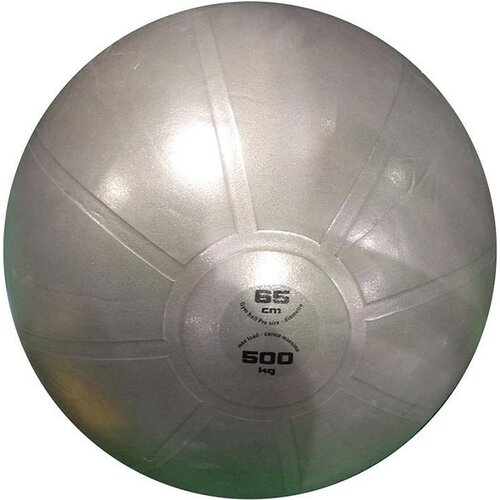 Lopta za gimnastiku Pro Toorx 65 cm, siva Slike