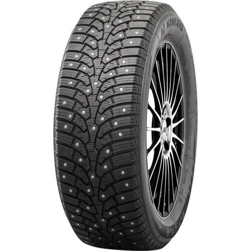 Nankang Ice Activa Grip 2 ( 255/45 R19 104T XL, ježevke ) zimska pnevmatika Cene