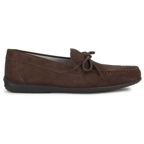 Geox U ascanio Cene