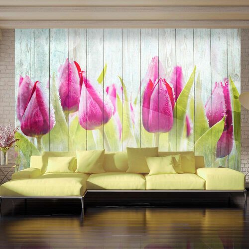  Tapeta - Tulips on white wood 350x245 Cijene