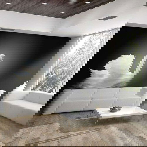  Tapeta - swan (black and white) 400x309 Slike