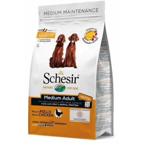 Schesir medium adult hrana za odrasle pse srednjih rasa,piletina Slike